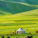 呼伦贝尔大草原 - 呼伦贝尔市旅游 缩略图 4
