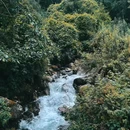 大理苍山世界地质公园 - 大理白族自治州旅游 缩略图 3