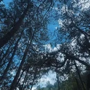 大理苍山世界地质公园 - 大理白族自治州旅游 缩略图 6