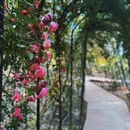 大理苍山世界地质公园 - 大理白族自治州旅游 缩略图 9