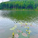 江西宜春林溪园民宿 - 宜春市旅游 缩略图 2