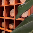亿啡丽呈明宇酒店(告庄星光夜市店) - 西双版纳傣族自治州旅游 缩略图 9