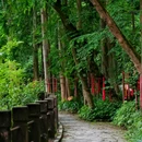 飞仙阁 - 成都市旅游 缩略图 5