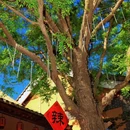 德明古镇-问情谷 - 石家庄市旅游 缩略图 4