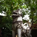 泰国清迈府清迈府直辖县 - 其他旅游 缩略图 2