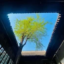 瞻园 - 南京市旅游 缩略图 5