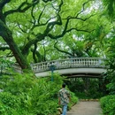 中山公园 - 佛山市旅游 缩略图 5