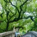 中山公园 - 佛山市旅游 缩略图 1