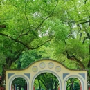 中山公园 - 佛山市旅游 缩略图 3