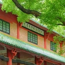 中山公园 - 佛山市旅游 缩略图 8