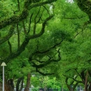 中山公园 - 佛山市旅游 缩略图 7