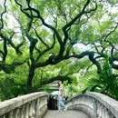中山公园 - 佛山市旅游 缩略图 9