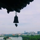嘉兴南湖景区南溪园 - 嘉兴市旅游 缩略图 9