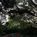 四海马术 - 广州市旅游 缩略图 2