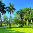 四海马术 - 广州市旅游 缩略图 7