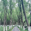 嘉兴南湖景区南溪园 - 嘉兴市旅游 缩略图 2