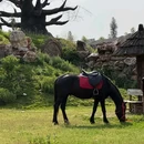 光年城堡 - 咸宁市旅游 缩略图 5