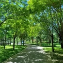 玉泉公园-影湖楼公园 - 北京市旅游 缩略图 7