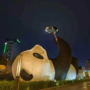 莫干山风景名胜区 - 湖州市旅游 缩略图 2
