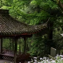 莫干山风景名胜区 - 湖州市旅游 缩略图 9