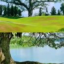 新加坡 - 海外旅游 缩略图 5