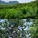 新加坡 - 海外旅游 缩略图 4