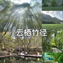 中都广场 - 杭州市旅游 缩略图 4