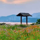 青山湖绿道花海 - 杭州市旅游 缩略图 4