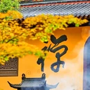 朱家尖悦庐套房酒店(舟山普陀区蜈蚣峙码头店) - 舟山市旅游 缩略图 5