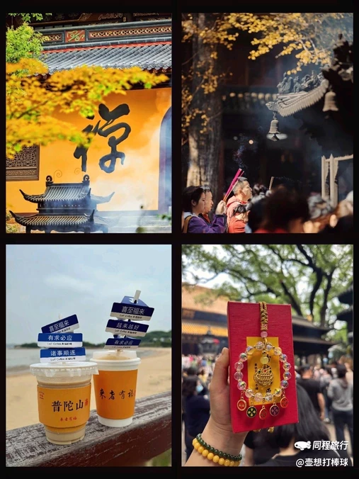 朱家尖悦庐套房酒店(舟山普陀区蜈蚣峙码头店) - 舟山市旅游
