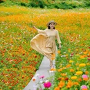 汪家湾花海 - 成都市旅游 缩略图 8