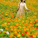 汪家湾花海 - 成都市旅游 缩略图 9