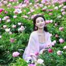 垛子公园 - 北京市旅游 缩略图 9