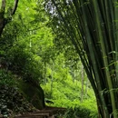 杜家沟 - 成都市旅游 缩略图 6