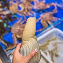 陶小鲜·江浙菜·台州海鲜 - 上海市旅游 缩略图 9