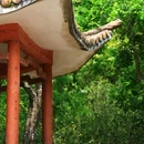 灵光寺 - 梅州市旅游 缩略图 5