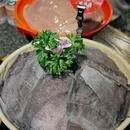 重庆市解放碑 - 重庆市旅游 缩略图 3