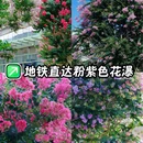 佛山王府井紫薇港 - 佛山市旅游 缩略图 1