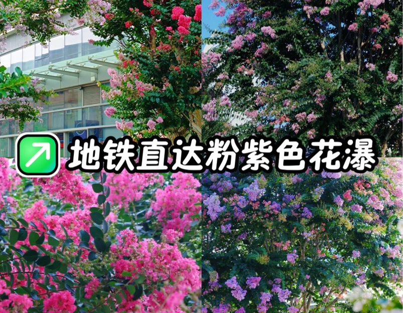 佛山王府井紫薇港 - 佛山市旅游 1