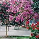 佛山王府井紫薇港 - 佛山市旅游 缩略图 4
