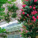 佛山王府井紫薇港 - 佛山市旅游 缩略图 3