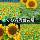 横沥镇冯马小学 - 广州市旅游 缩略图 1