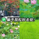 曹边村国家AAA乡村旅游景区 - 中山市旅游 缩略图 1