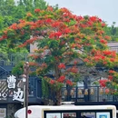 曹边村国家AAA乡村旅游景区 - 中山市旅游 缩略图 4