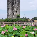 曹边村国家AAA乡村旅游景区 - 中山市旅游 缩略图 8