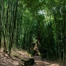 药师岩 - 成都市旅游 缩略图 7