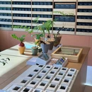 成都保利时光里 - 成都旅游 缩略图 8