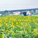 东涌官坦农业公园1号停车场 - 广州市旅游 缩略图 7