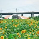 东涌官坦农业公园1号停车场 - 广州市旅游 缩略图 9