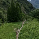 尖尖树 - 成都市旅游 缩略图 3